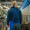 D�tail attache et ajustement dos