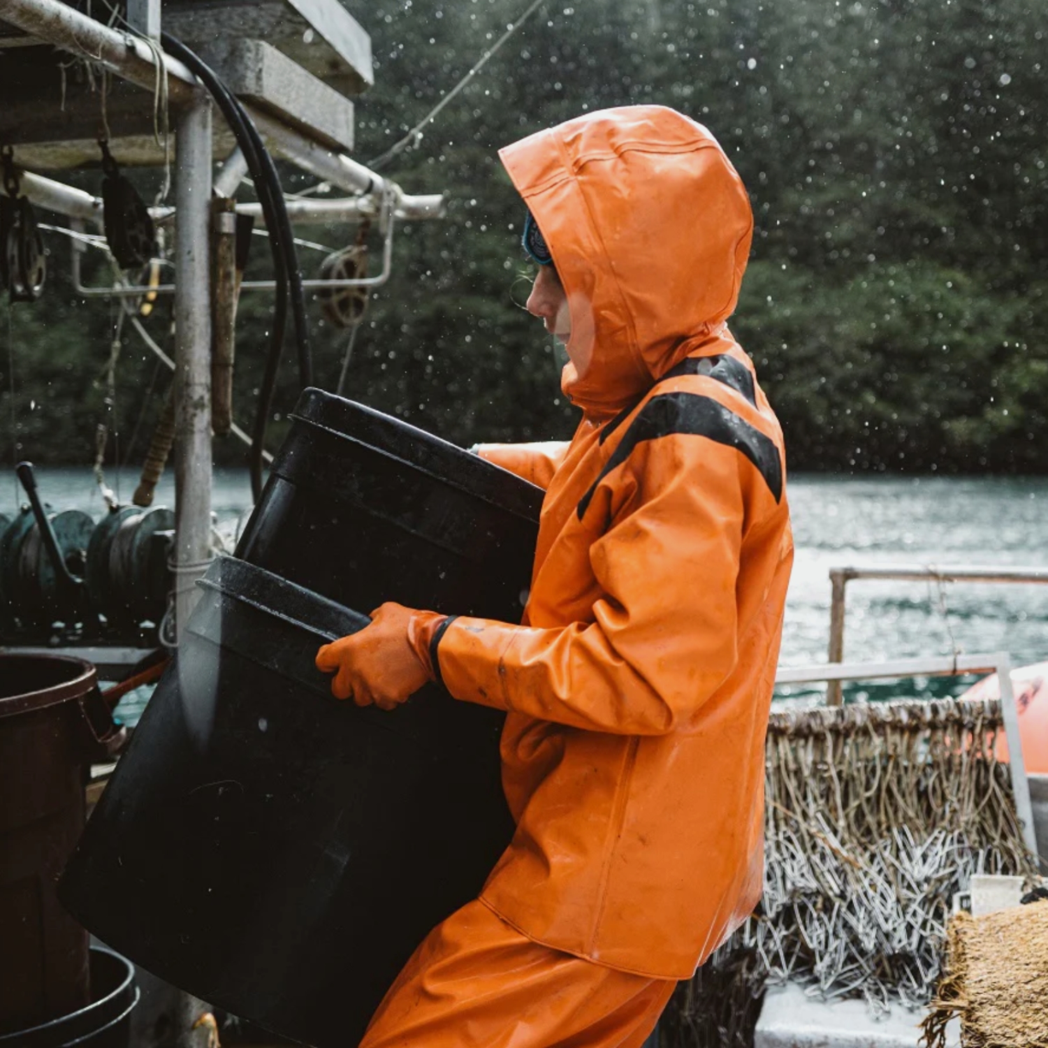Vue de profil portée