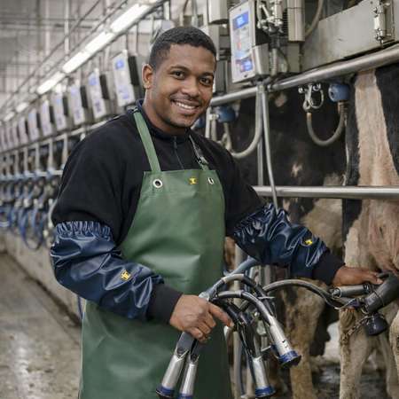 Catalogue de Tablier