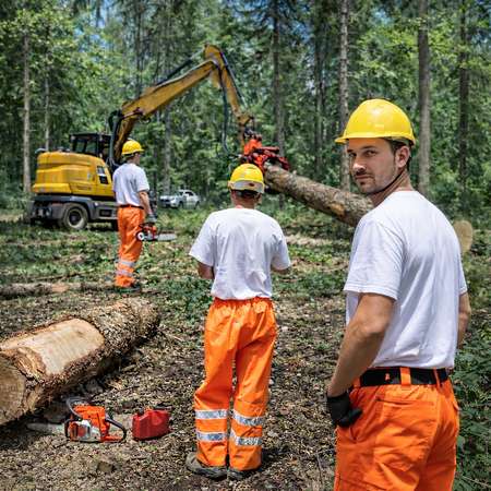 Catalogue de Bas haute visibilit�